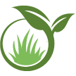 Alexandria Lawn Clean Up