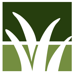 Alexandria Lawn Clean Up