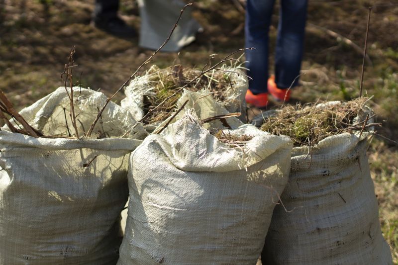 Brush Cleaning Service