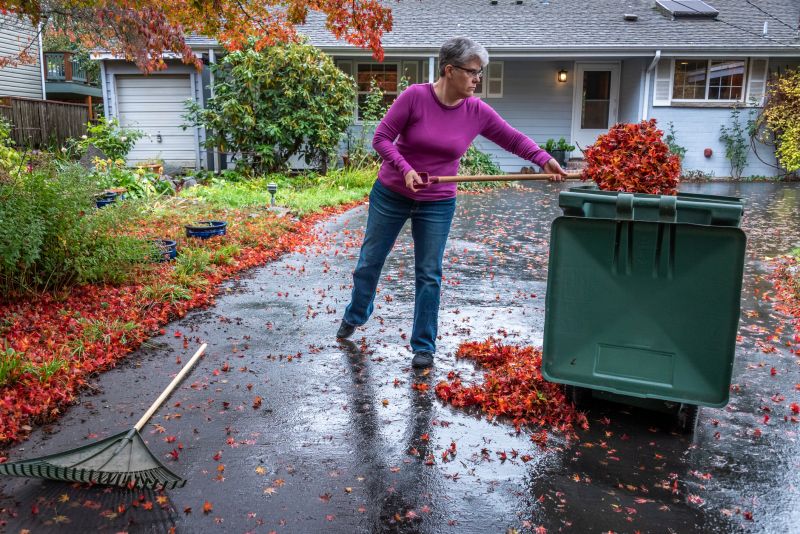Seasonal Yard Preparation