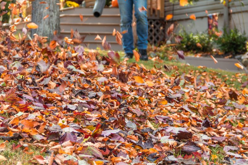 Autumn Leaf Removal