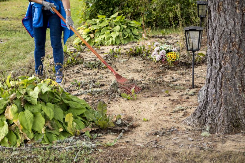 Who Does Lawn Clean Up Service