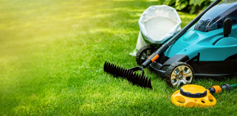 Local Lawn Care Experts