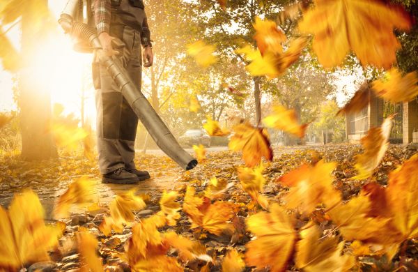 Leaf Blowing Service in Alexandria