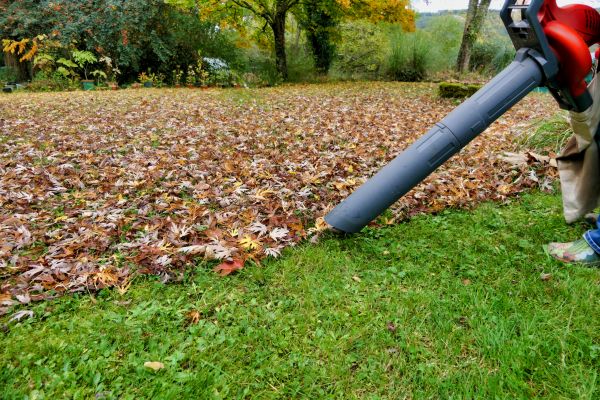 Leaf Vacuuming Service in Alexandria