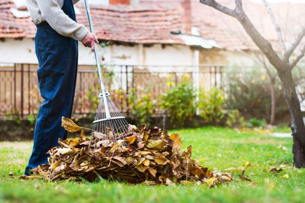 Spring Lawn Cleanup in Alexandria