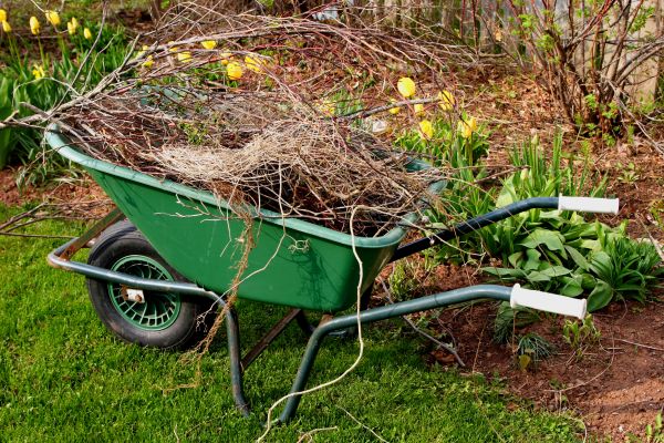 Lawn Waste Removal in Alexandria