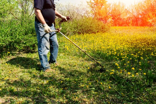 Yard Clearing Service in Alexandria